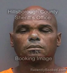 Mugshot of Kenneth Eugene Williams booked in Hillsborough County, Florida on August 29, 2026
