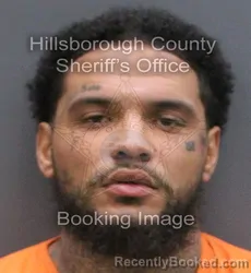 Mugshot of Trea Anthony Sims booked in Hillsborough County, Florida on August 29, 2026