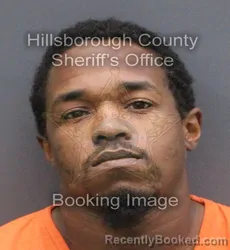 Mugshot of Ja'Quez Le'Andre Zachary Young booked in Hillsborough County, Florida on August 29, 2026