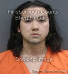 Mugshot of Brian Dang Khoa Nguyen booked in Hillsborough County, Florida on August 29, 2026