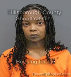 Mugshot of Nakeya Unique Mayhue booked in Hillsborough County, Florida on August 29, 2026