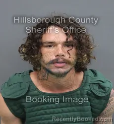 Mugshot of Mark Leon Colon-Claudio booked in Hillsborough County, Florida on August 29, 2026