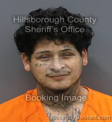 Mugshot of Nathaniel Flores booked in Hillsborough County, Florida on August 29, 2026