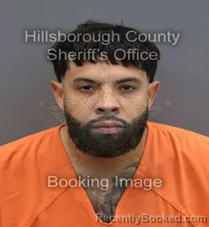 Mugshot of Arnaldo Jr Henriquez Carrasquil booked in Hillsborough County, Florida on August 29, 2026