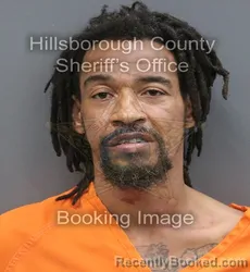 Mugshot of Jeffrey Lee Davis booked in Hillsborough County, Florida on August 29, 2026