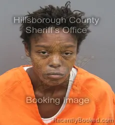 Mugshot of Krishauna Deree Stroud booked in Hillsborough County, Florida on August 29, 2026
