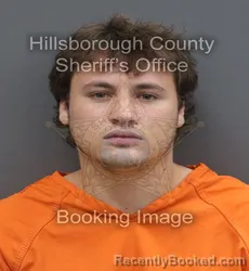 Mugshot of James Stephen Bergers booked in Hillsborough County, Florida on August 29, 2026