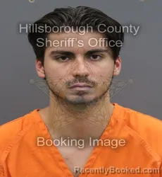 Mugshot of Robert William Lucas booked in Hillsborough County, Florida on August 29, 2026