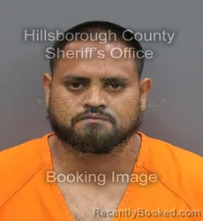 Mugshot of Byron Alexander De La Cruz Garcia booked in Hillsborough County, Florida on August 29, 2026