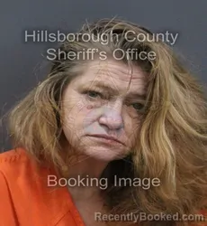 Mugshot of Linda Darlene Ipock booked in Hillsborough County, Florida on August 29, 2026