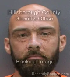 Mugshot of David Griffith booked in Hillsborough County, Florida on August 29, 2026