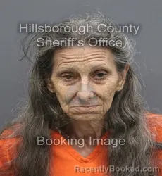 Mugshot of Pauline Annamariea Mele booked in Hillsborough County, Florida on August 29, 2026
