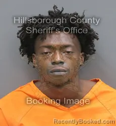 Mugshot of Ajani Aurmoundo Mckenzie booked in Hillsborough County, Florida on August 29, 2026