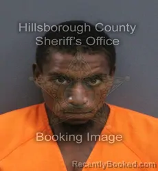 Mugshot of Phenix Derion Quintez Phillips Dunbar booked in Hillsborough County, Florida on August 29, 2026