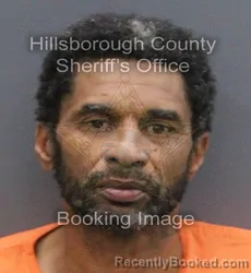 Mugshot of Damon Delano Smith booked in Hillsborough County, Florida on August 29, 2026