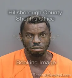 Mugshot of Michael Tyrone Farr booked in Hillsborough County, Florida on August 29, 2026