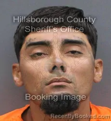 Mugshot of Orlando Ortiz booked in Hillsborough County, Florida on August 29, 2026