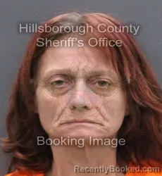 Mugshot of Kimberly Dawn Faulkner booked in Hillsborough County, Florida on August 29, 2026