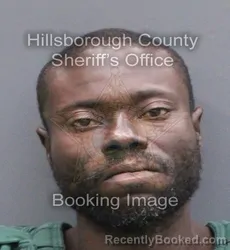 Mugshot of Kevik Eyshaern David booked in Hillsborough County, Florida on August 29, 2026