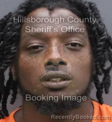 Mugshot of Ezekiel Israel Griffin booked in Hillsborough County, Florida on August 29, 2026