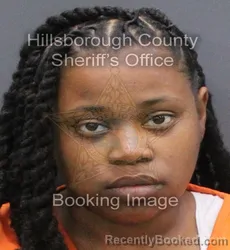 Mugshot of Cydne B Steele booked in Hillsborough County, Florida on August 29, 2026