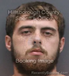 Mugshot of Justin Edward Springer booked in Hillsborough County, Florida on August 29, 2026