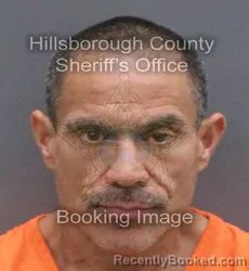 Mugshot of Alexander Gongora booked in Hillsborough County, Florida on August 30, 2026