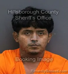 Mugshot of Rony Ical Sagui booked in Hillsborough County, Florida on August 30, 2026