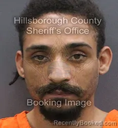 Mugshot of Joshua Franchesco Robles booked in Hillsborough County, Florida on August 30, 2026