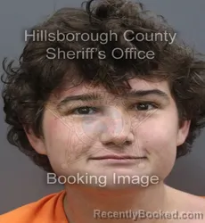 Mugshot of Christopher Scott Ii Lewis booked in Hillsborough County, Florida on August 30, 2026