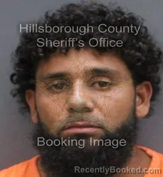 Mugshot of Alex Manuel Abreu booked in Hillsborough County, Florida on August 30, 2026