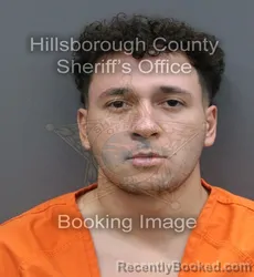 Mugshot of William Alexis Ii Capo booked in Hillsborough County, Florida on August 30, 2026