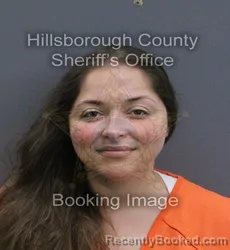 Mugshot of Devin Renae Washington booked in Hillsborough County, Florida on August 30, 2026