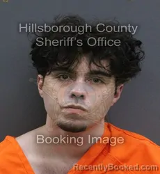 Mugshot of Sean Adams booked in Hillsborough County, Florida on August 30, 2026