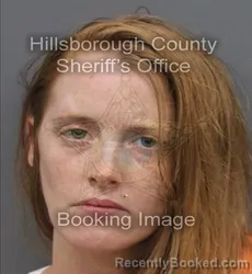 Mugshot of Amanda Katherine Jopling booked in Hillsborough County, Florida on August 30, 2026