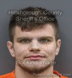 Mugshot of Patrick William Nicholson-Walker booked in Hillsborough County, Florida on August 30, 2026