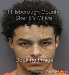 Mugshot of Andrew Kaylani Vilela Herring booked in Hillsborough County, Florida on August 30, 2026