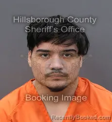 Mugshot of GONZALO NICOLAS CABRERA