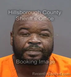 Mugshot of Fletcher Rovelle Jr Mccray booked in Hillsborough County, Florida on August 30, 2026