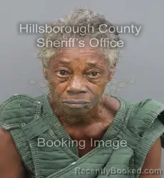 Mugshot of Sharon Denise Hill booked in Hillsborough County, Florida on August 30, 2026