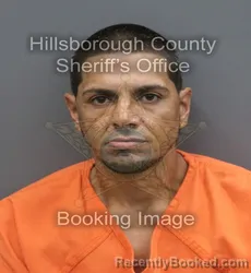 Mugshot of Alejandro Gonzalez booked in Hillsborough County, Florida on August 30, 2026