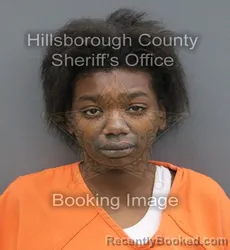Mugshot of Ladaja Michelle Wilson booked in Hillsborough County, Florida on August 30, 2026