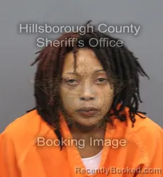 Mugshot of Traviasia Moezell Lynnette Blanks booked in Hillsborough County, Florida on August 30, 2026