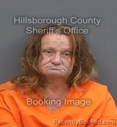 Mugshot of Dana Louise Pereira booked in Hillsborough County, Florida on August 30, 2026