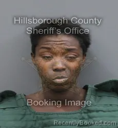 Mugshot of Kayla Nikel Roper booked in Hillsborough County, Florida on August 30, 2026