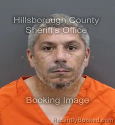 Mugshot of Cory Matthew Windell booked in Hillsborough County, Florida on August 30, 2026
