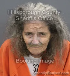 Mugshot of Vickey Jeffcoat Brady booked in Hillsborough County, Florida on August 30, 2026
