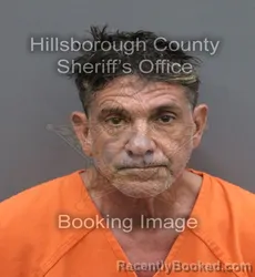Mugshot of Larry Gaetano Puleo booked in Hillsborough County, Florida on August 30, 2026
