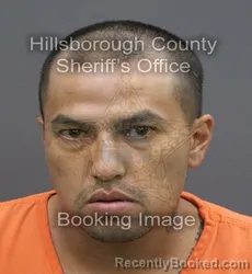 Mugshot of Julian Elsayed Dinh booked in Hillsborough County, Florida on August 30, 2026