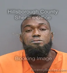 Mugshot of Derek Antonio Jr Wilson booked in Hillsborough County, Florida on August 30, 2026